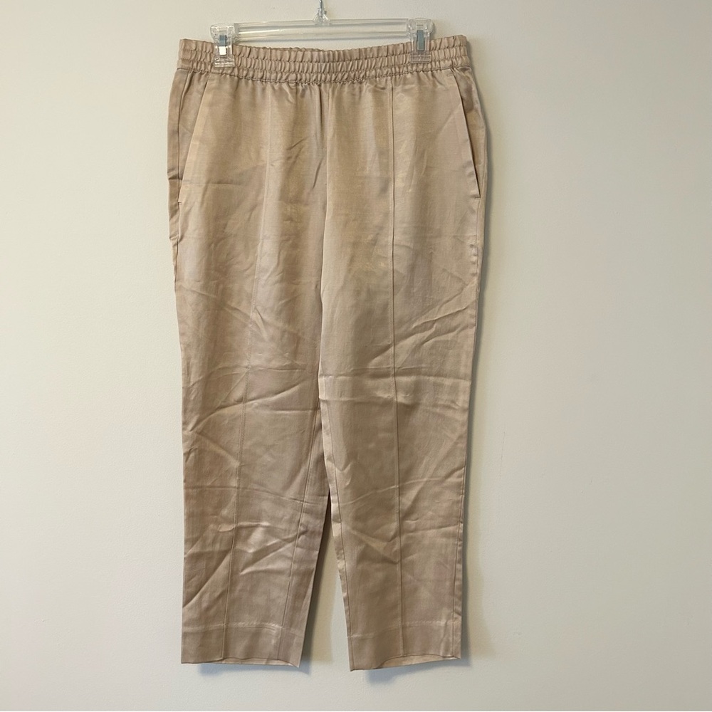 Banana Republic Cropped Cupro Pants